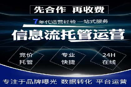 SEM代理操作技巧：成功案例揭秘